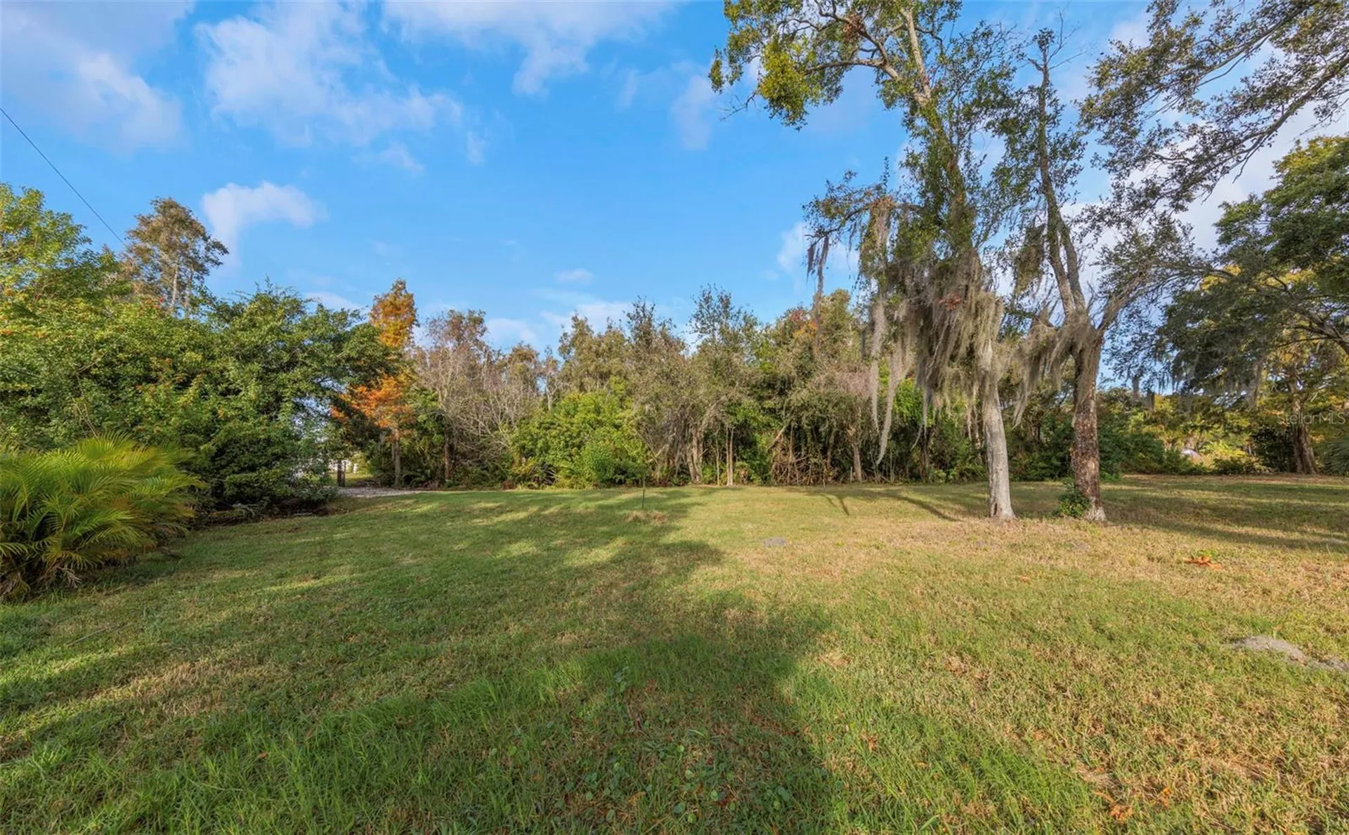 2661 Cyprus Drive Palm Harbor FL 34684