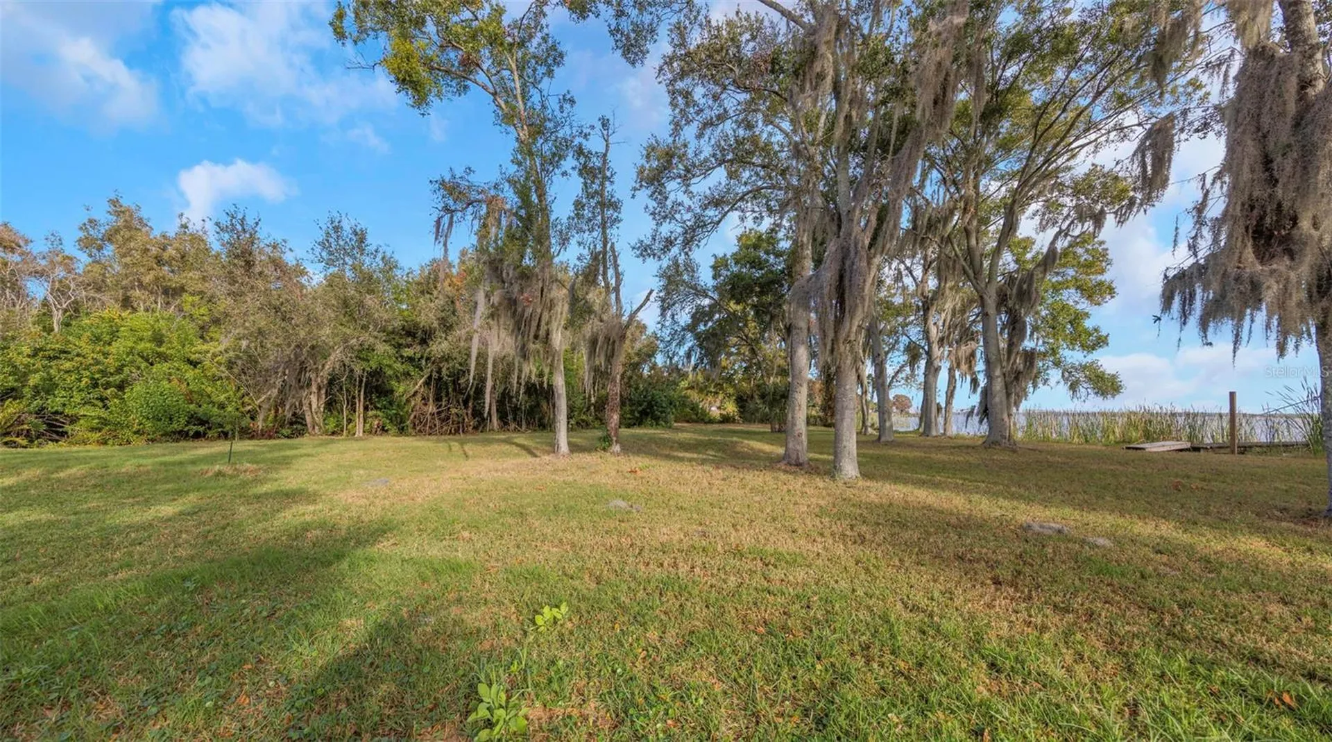 2661 Cyprus Drive Palm Harbor FL 34684