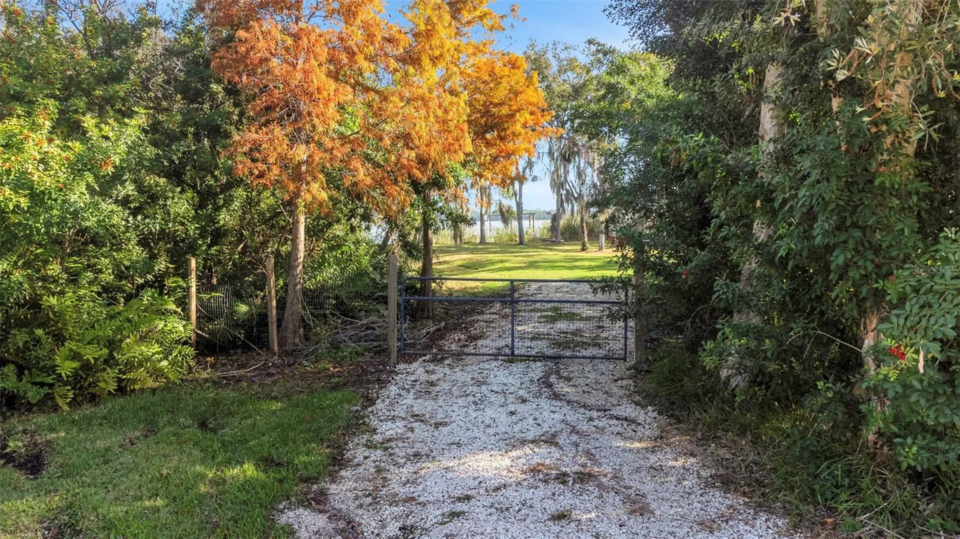 2661 Cyprus Drive Palm Harbor FL 34684