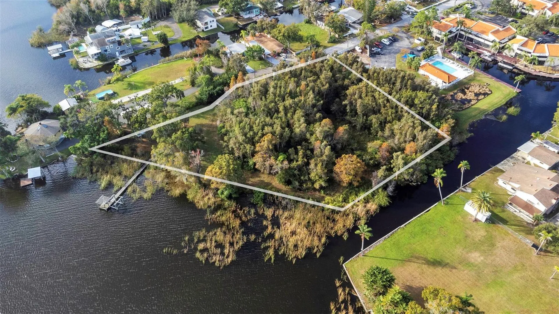 2661 Cyprus Drive Palm Harbor FL 34684