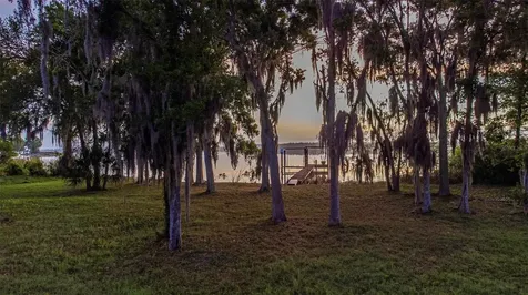2661 Cyprus Drive Palm Harbor FL 34684