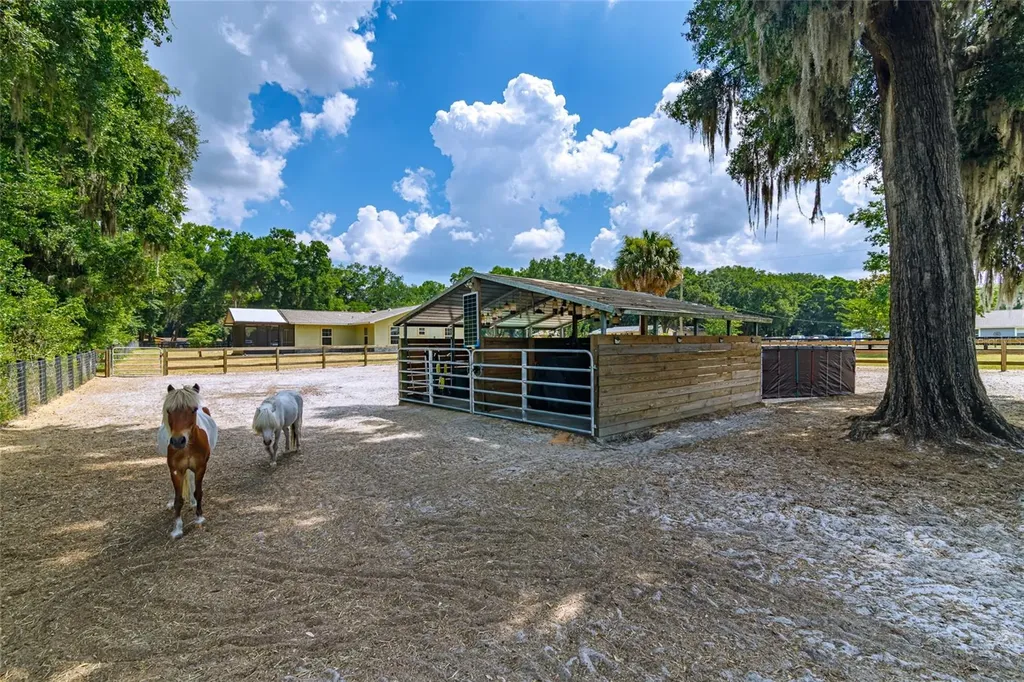 13300 NE 38th Avenue Anthony FL 32617