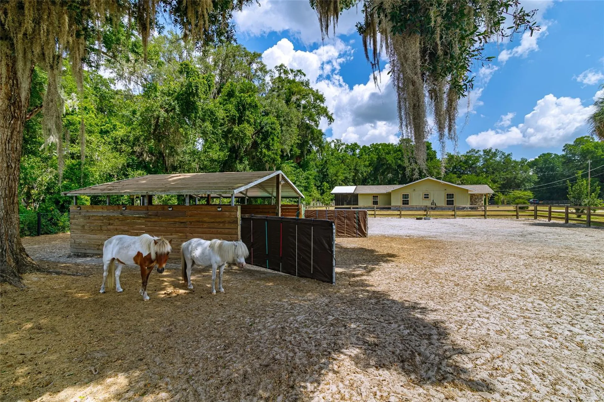 13300 NE 38th Avenue Anthony FL 32617