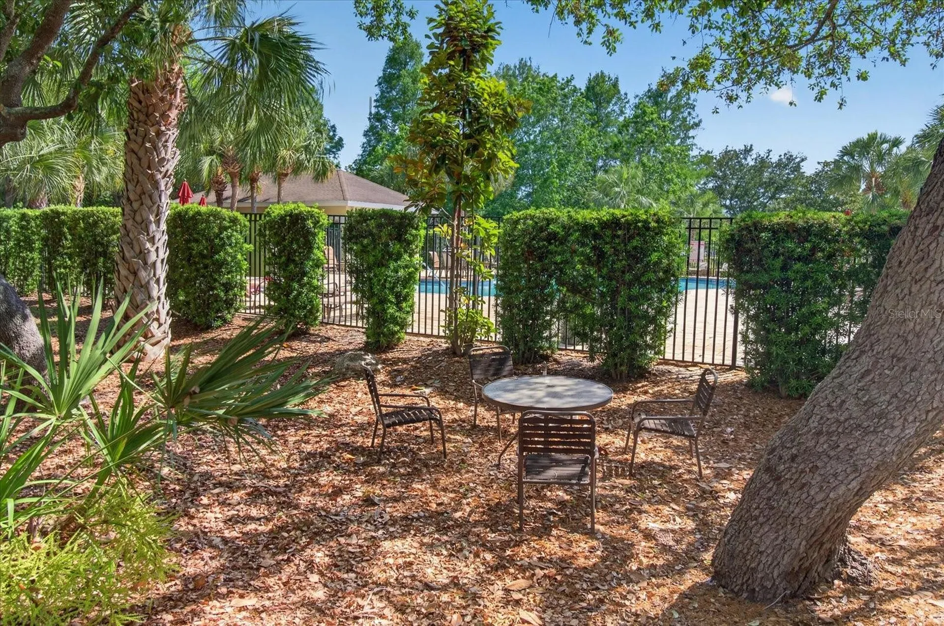 2153 Barracuda Court Holiday FL 34691