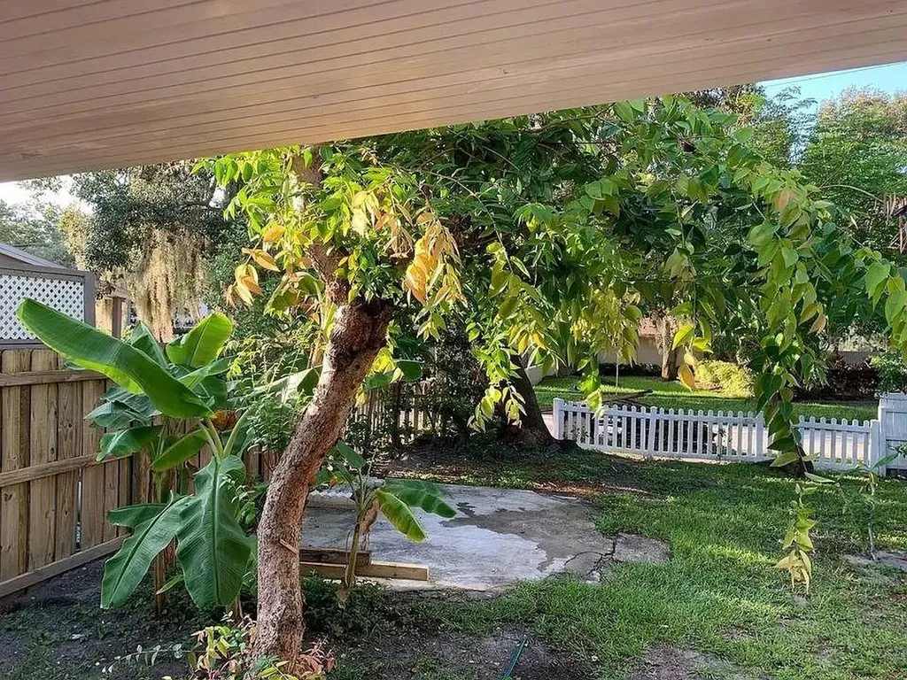 1005 16th Street N St Petersburg FL 33705
