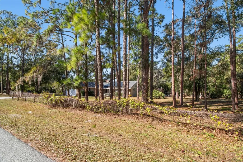 17641 Deerfield Drive Lutz FL 33558