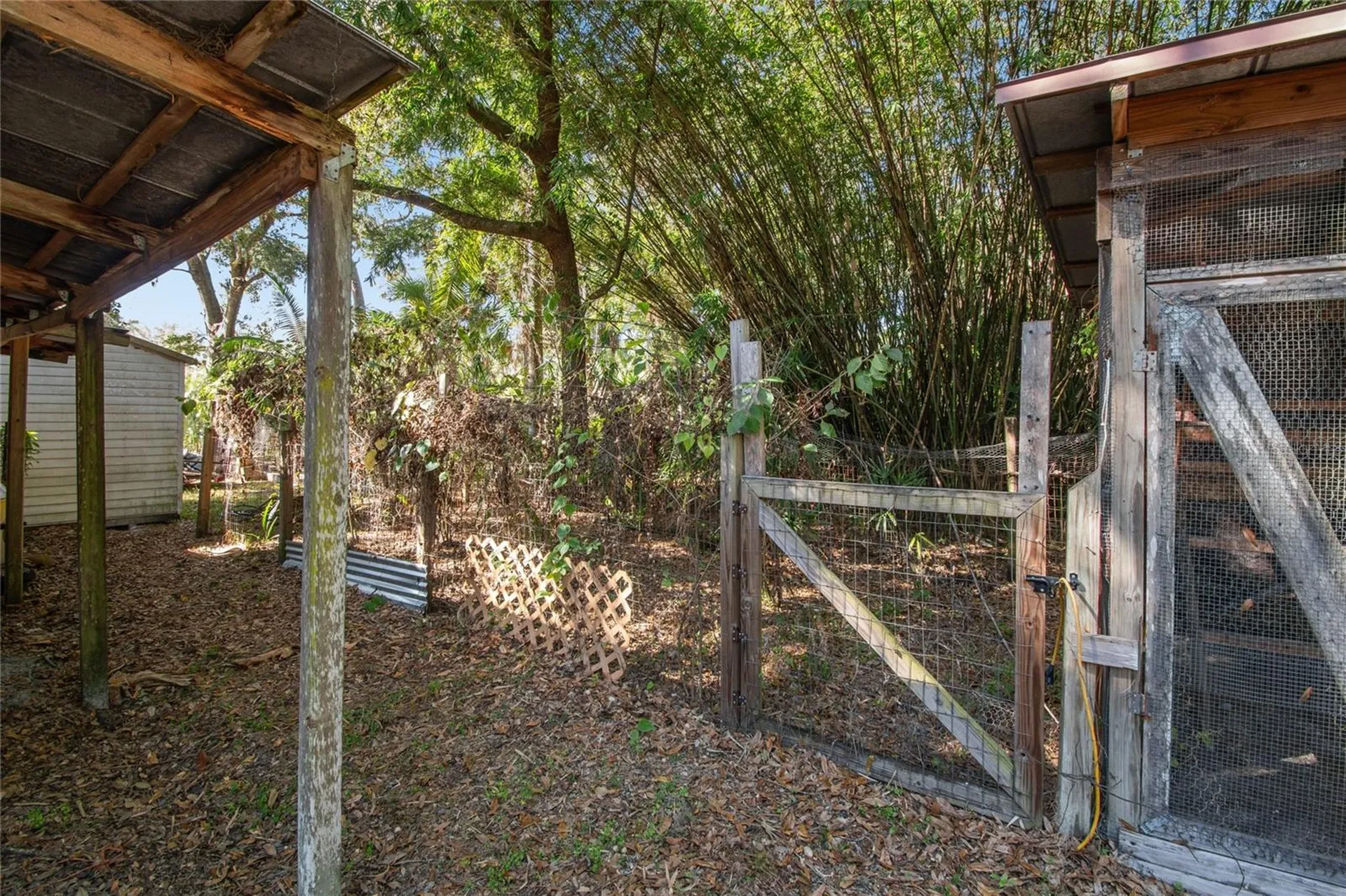 17641 Deerfield Drive Lutz FL 33558