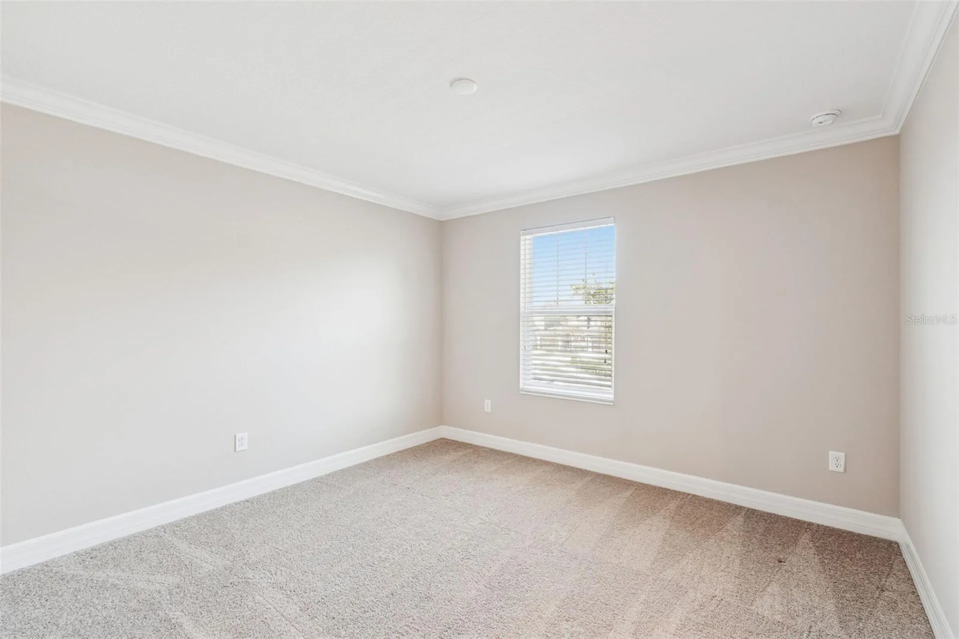 345 Villa Corte Drive Lutz FL 33549