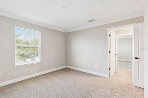345 Villa Corte Drive Lutz FL 33549