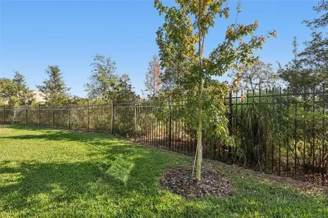 345 Villa Corte Drive Lutz FL 33549