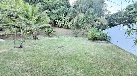 A32 Rio Mamaeyes River Edge Hills Luquillo PR 00773