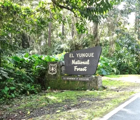 A32 Rio Mamaeyes River Edge Hills Luquillo PR 00773