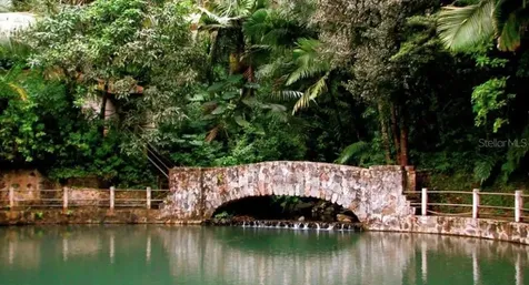 A32 Rio Mamaeyes River Edge Hills Luquillo PR 00773