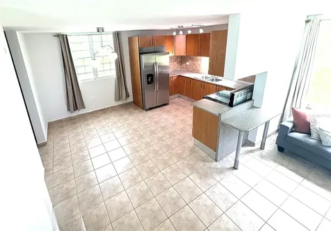 A32 Rio Mamaeyes River Edge Hills Luquillo PR 00773