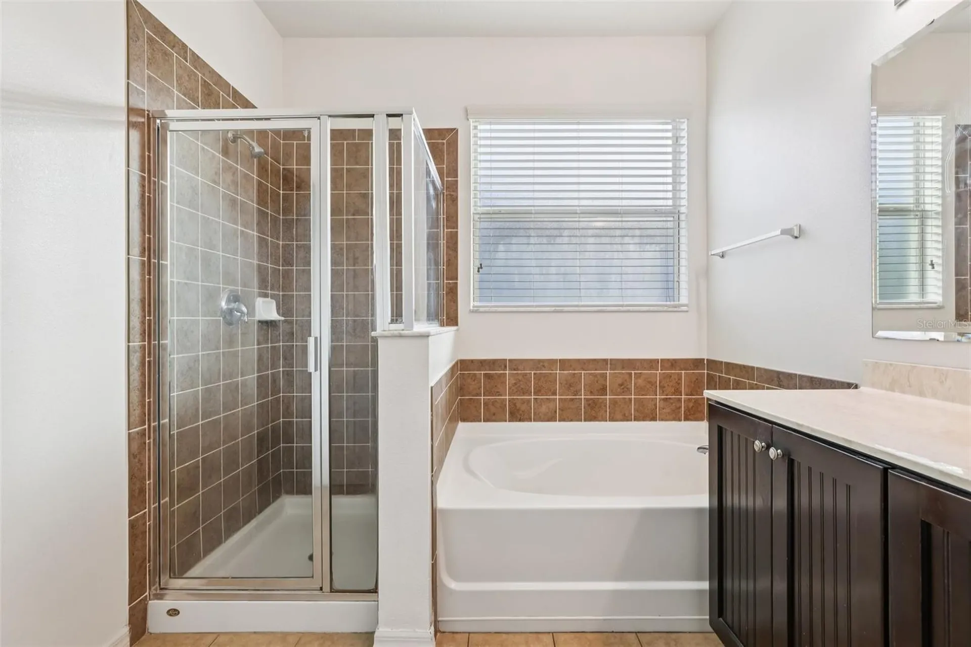 1689 Strathmore Circle Mount Dora FL 32757