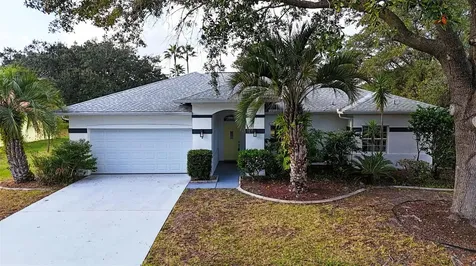 2 Saw Mill Court Palm Coast FL 32164