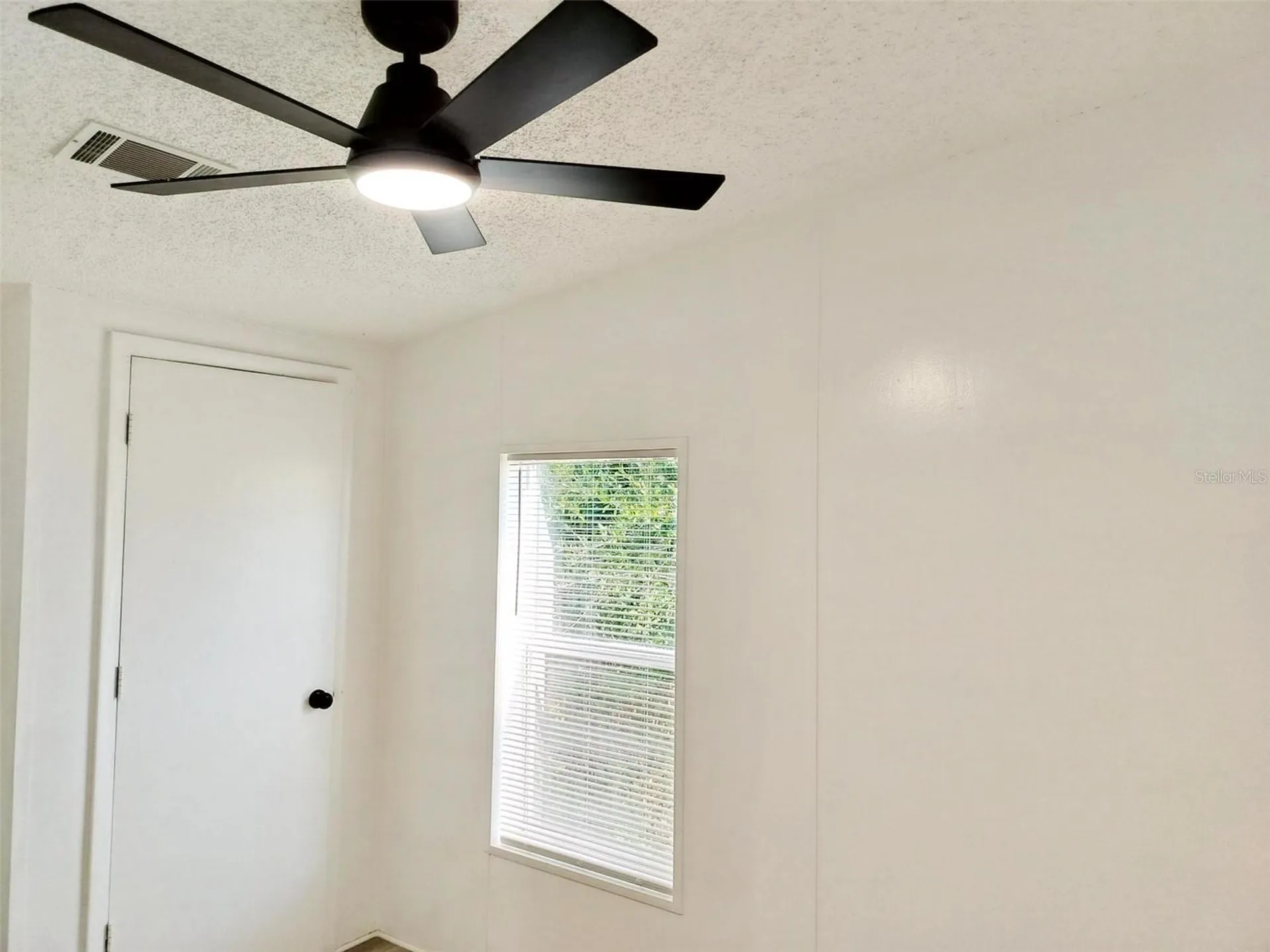 4209 Loury Drive Wesley Chapel FL 33543