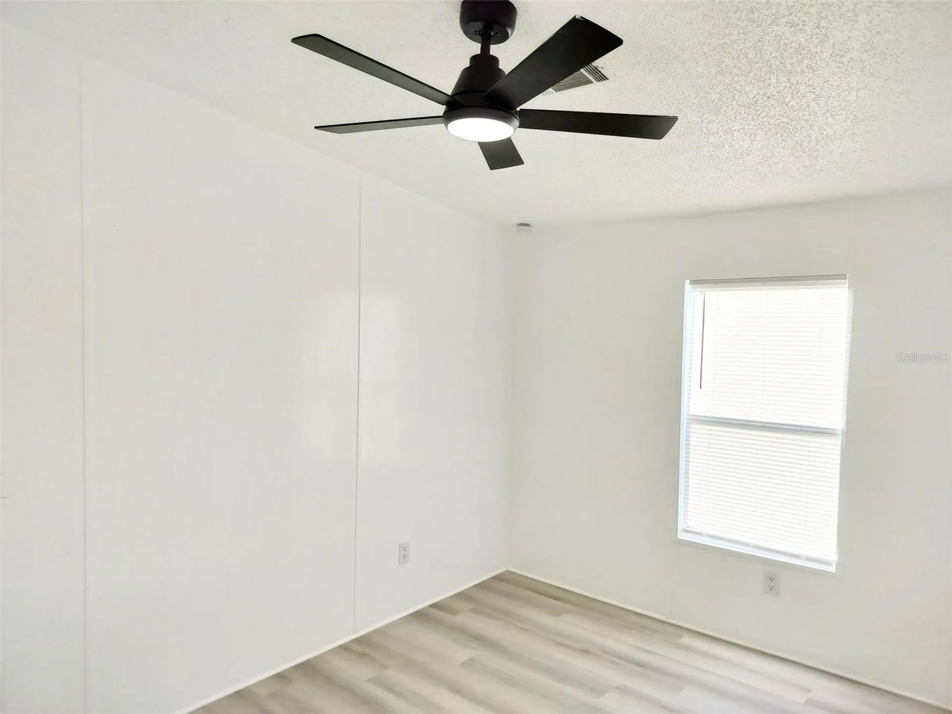4209 Loury Drive Wesley Chapel FL 33543