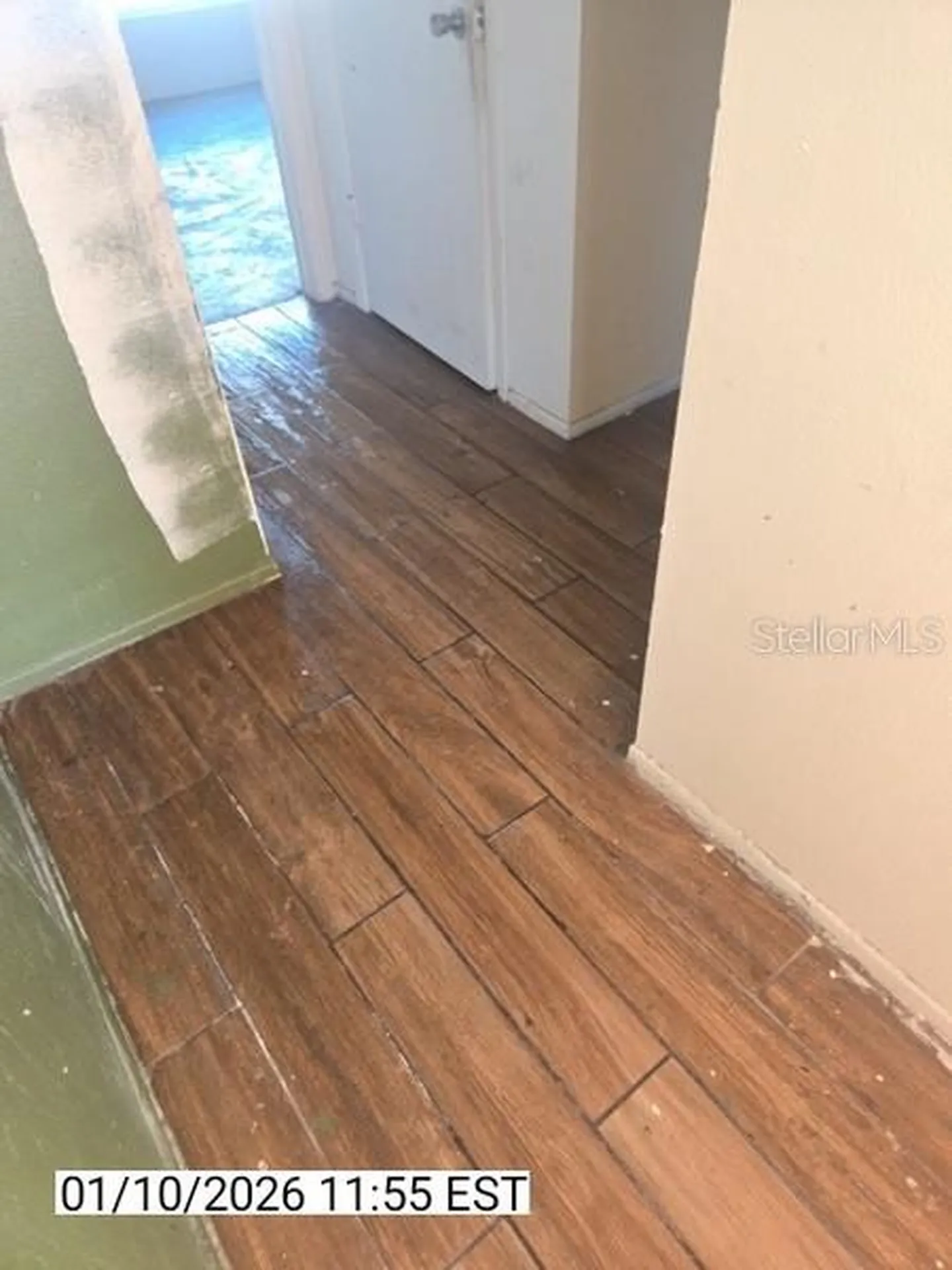 8428 Paxton Drive Port Richey FL 34668