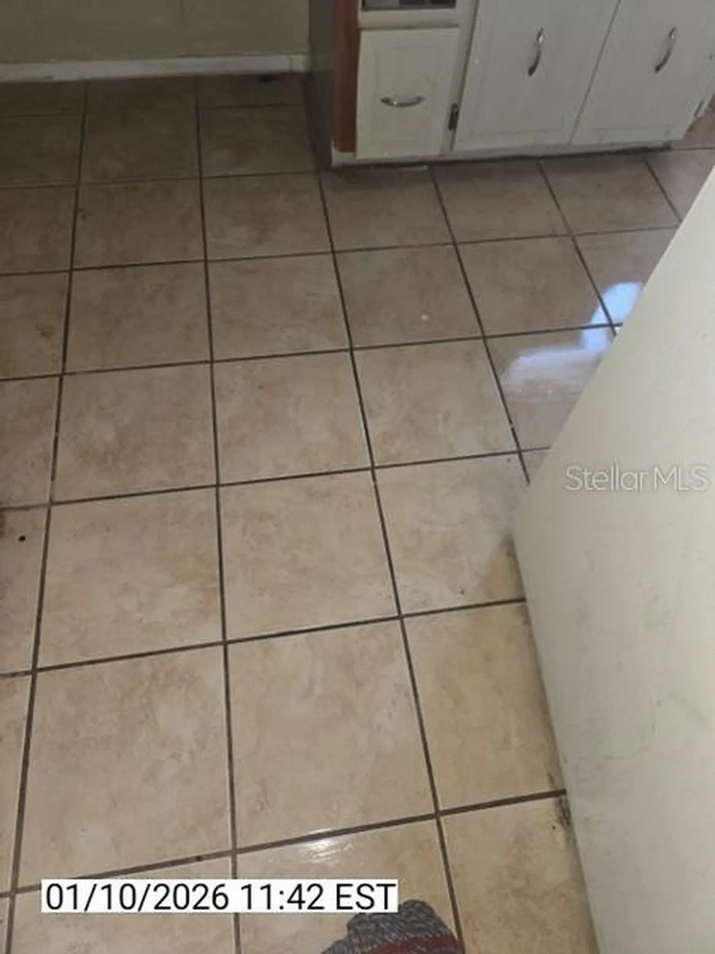 8428 Paxton Drive Port Richey FL 34668