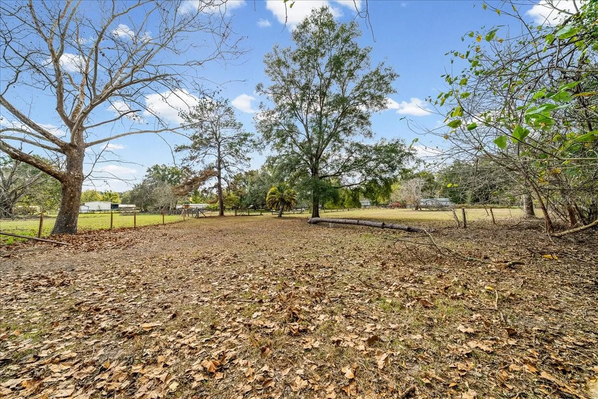 5851 NW 50th Avenue Ocala FL 34482