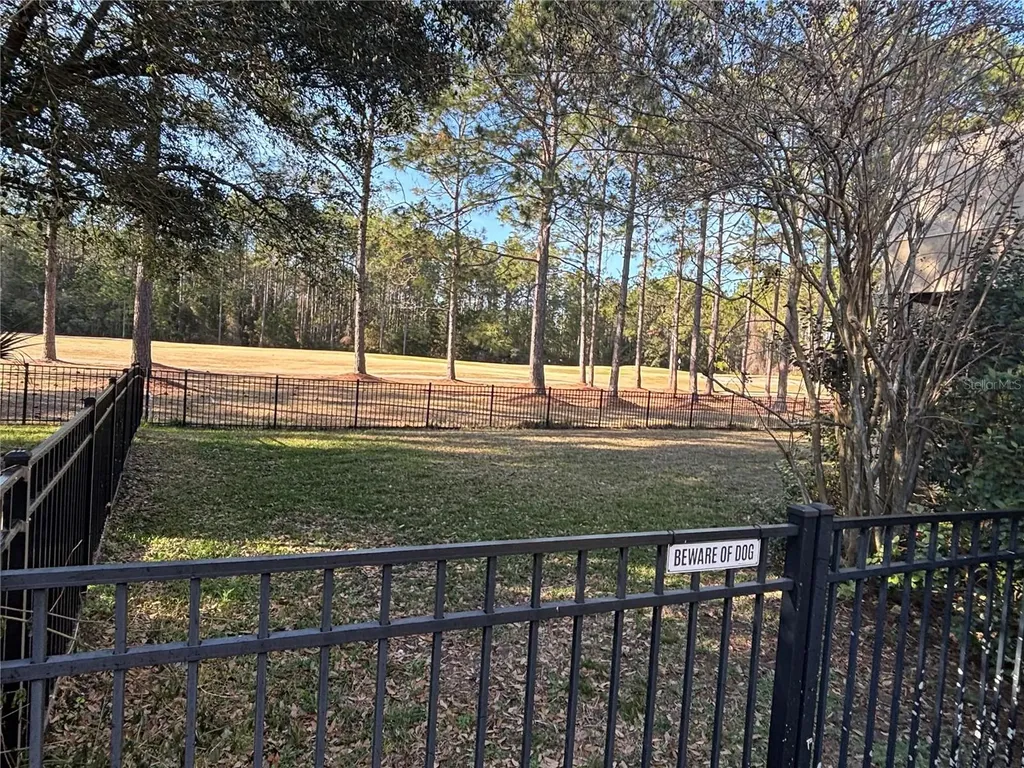 1384 Eagle Crossing Drive Orange Park FL 32065