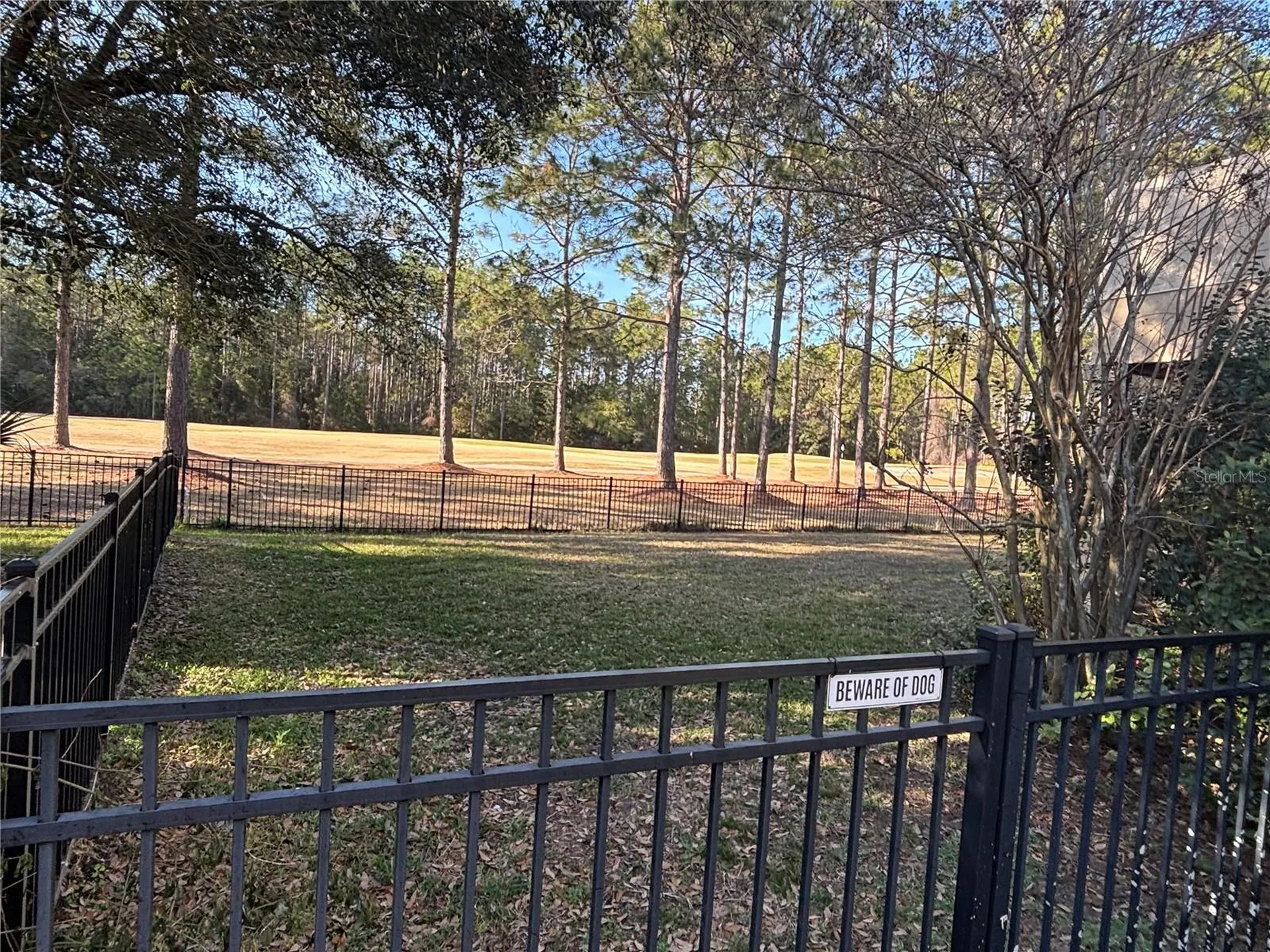 1384 Eagle Crossing Drive Orange Park FL 32065