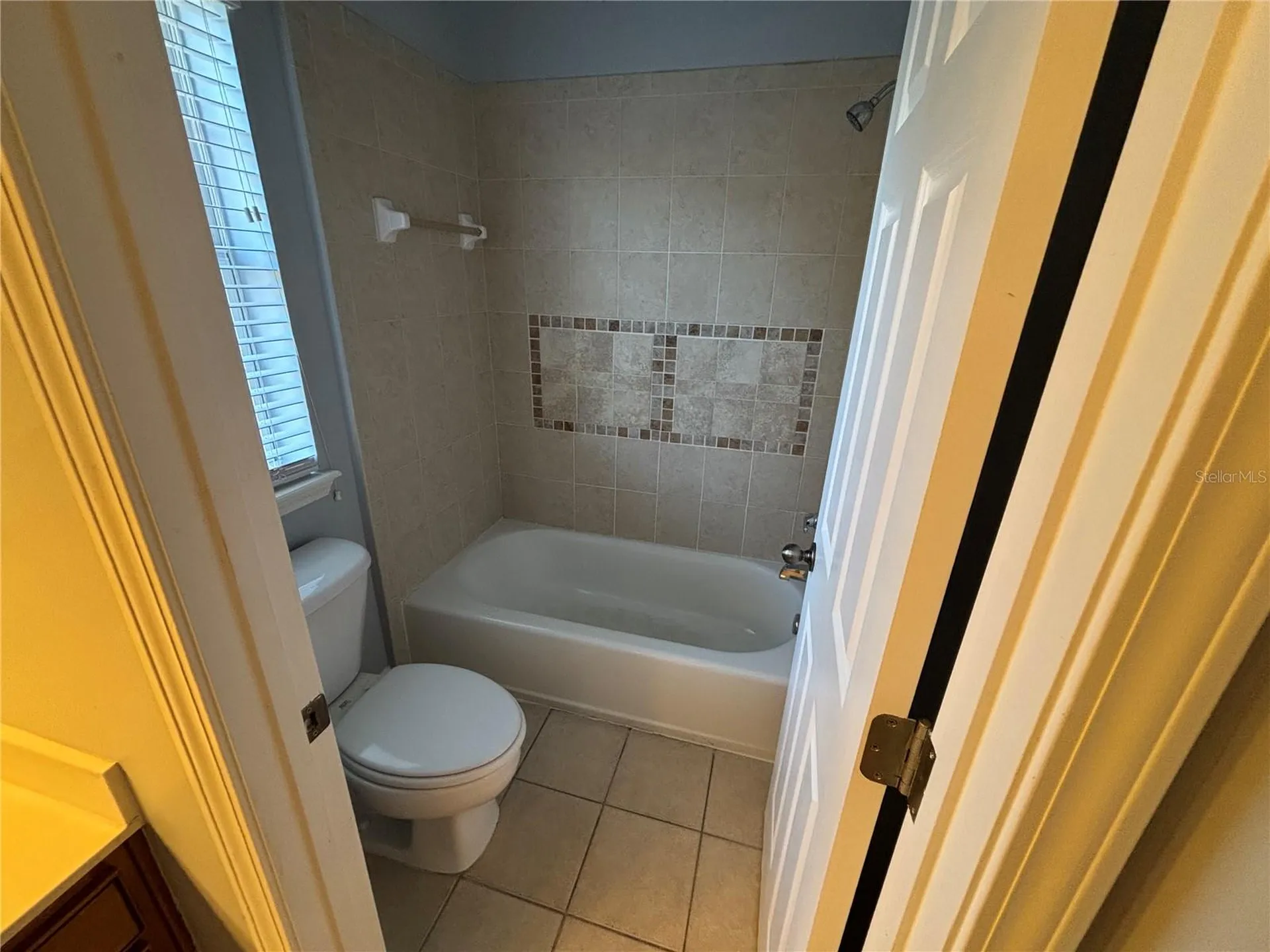 1384 Eagle Crossing Drive Orange Park FL 32065