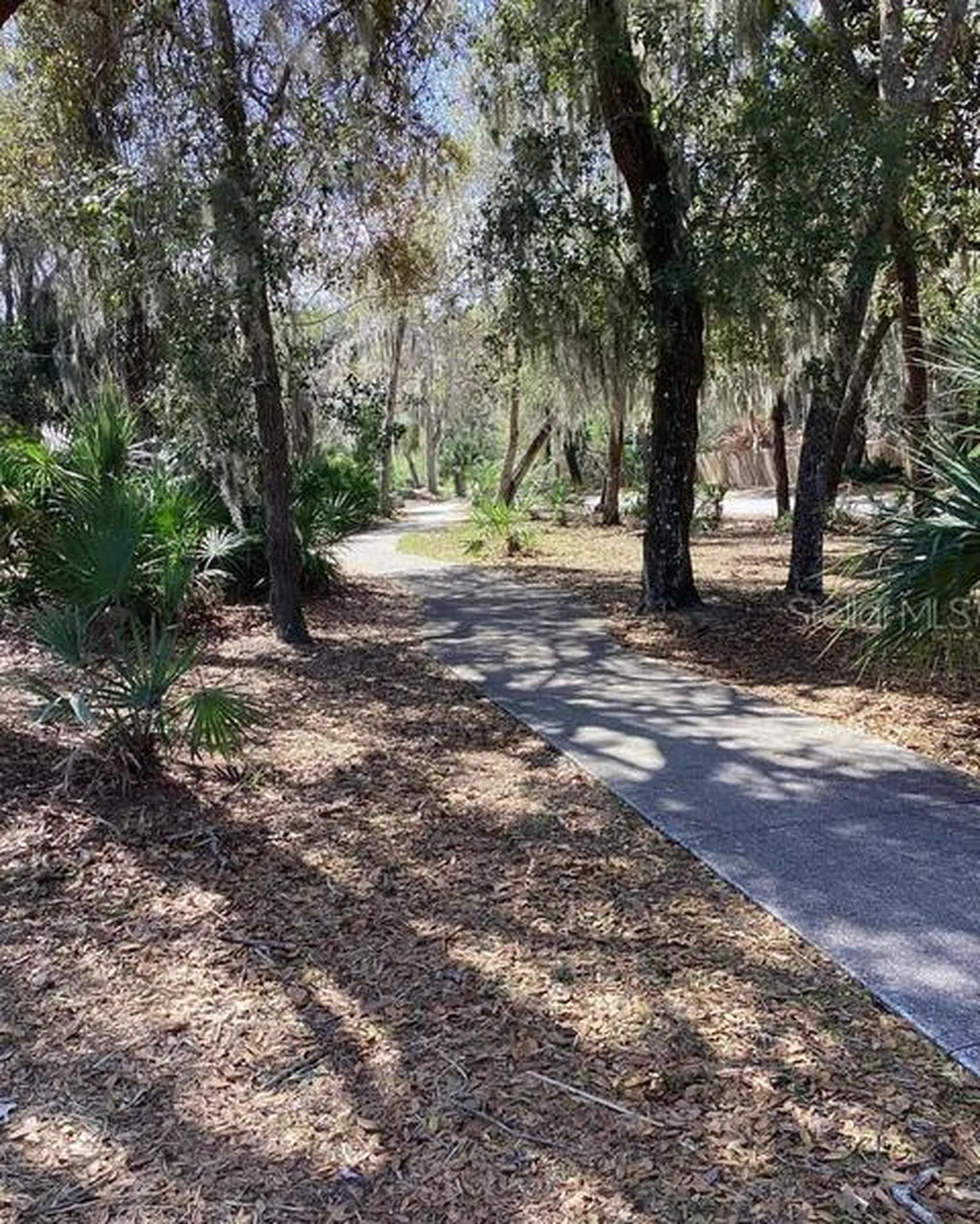216 Pine Cone Trail Ormond Beach FL 32174