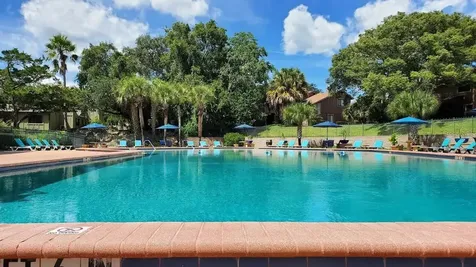 216 Pine Cone Trail Ormond Beach FL 32174