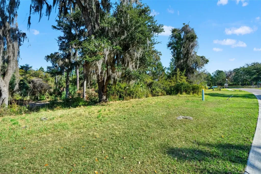 6633 Summit View Drive Brooksville FL 34601
