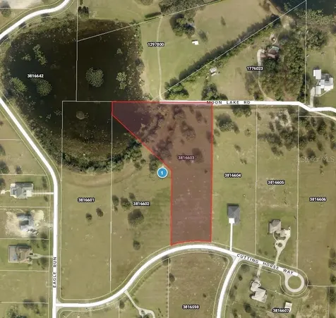Cutting Horse Way Groveland FL 34736