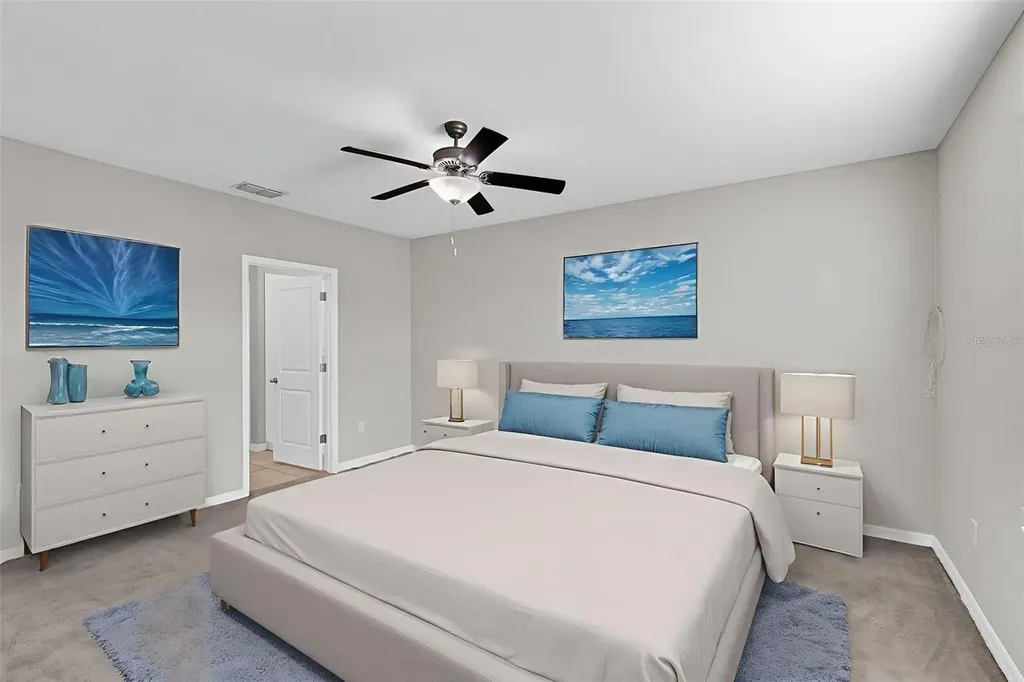 5204 White Chicory Drive Apollo Beach FL 33572