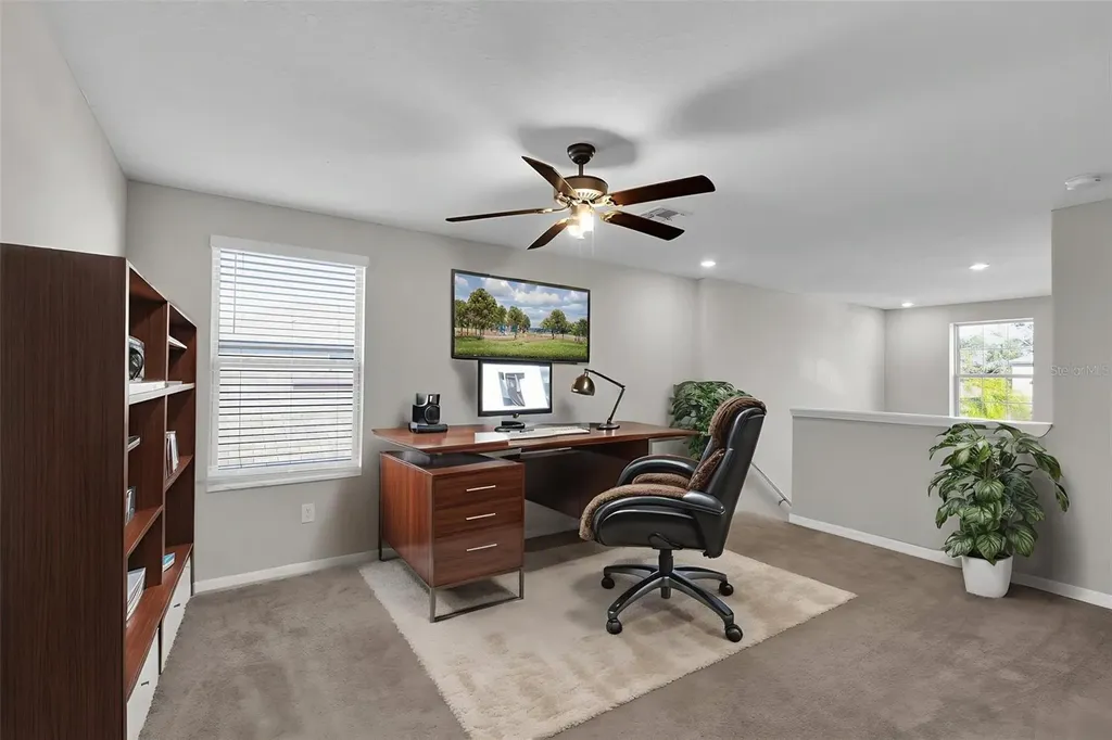 5204 White Chicory Drive Apollo Beach FL 33572