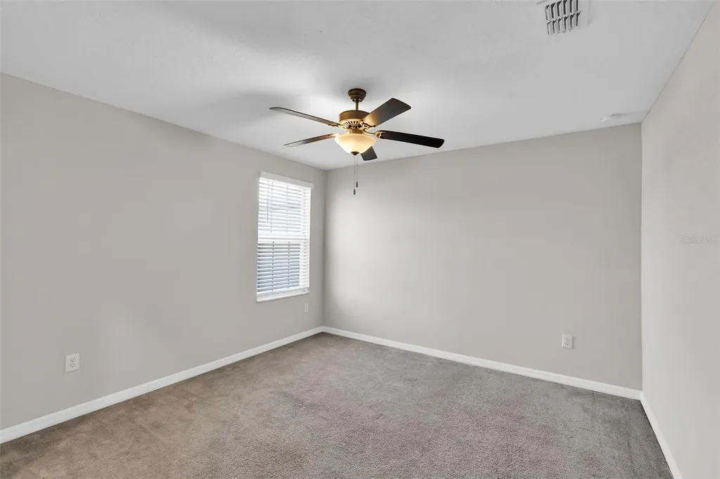 5204 White Chicory Drive Apollo Beach FL 33572