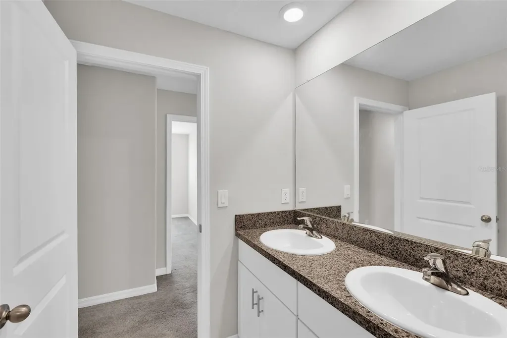 5204 White Chicory Drive Apollo Beach FL 33572