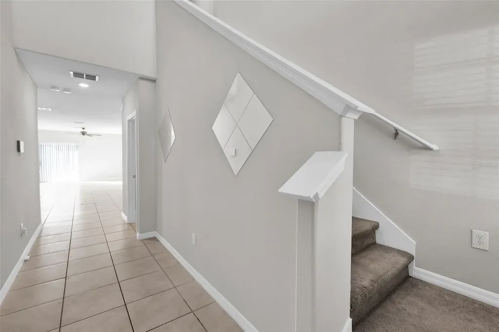 5204 White Chicory Drive Apollo Beach FL 33572