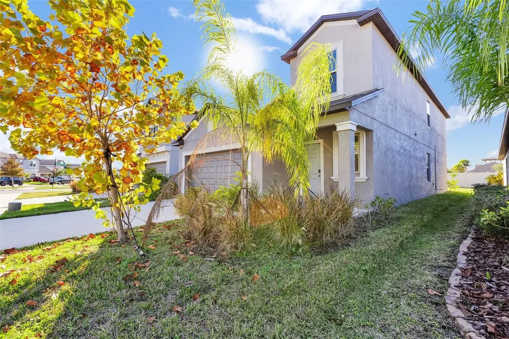5204 White Chicory Drive Apollo Beach FL 33572
