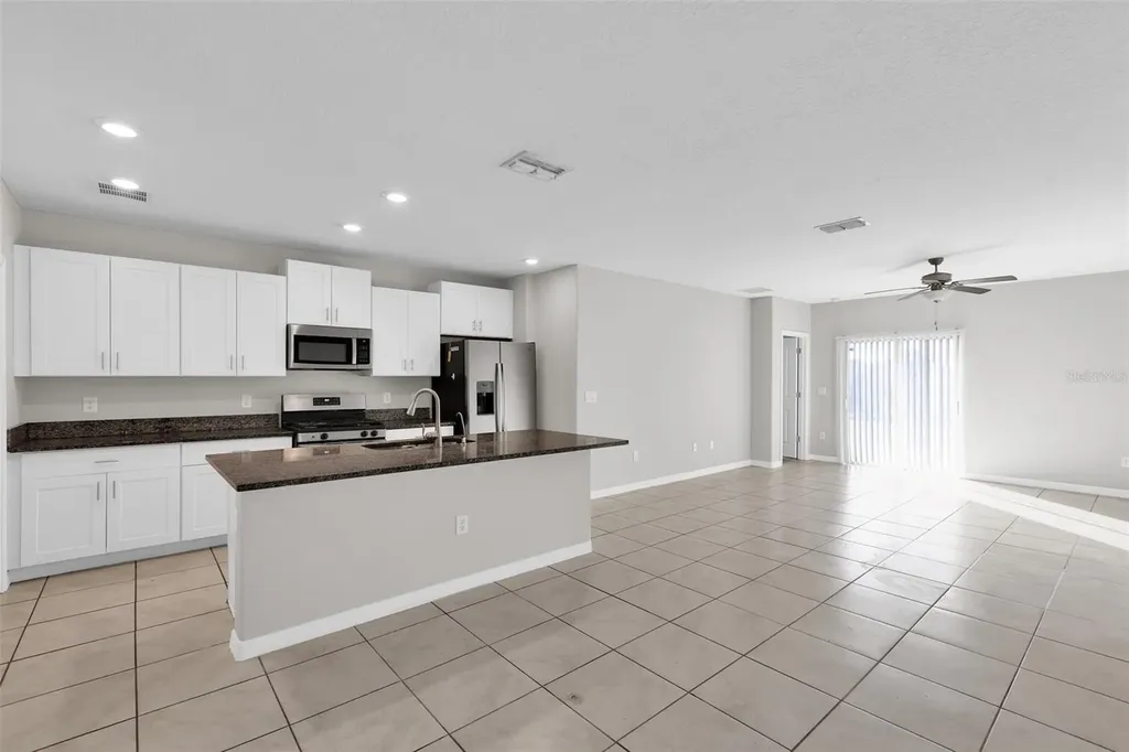 5204 White Chicory Drive Apollo Beach FL 33572