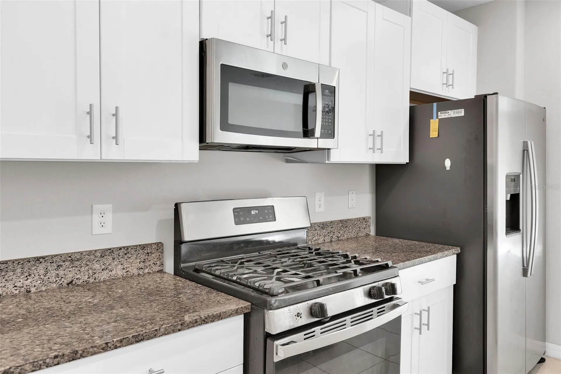 5204 White Chicory Drive Apollo Beach FL 33572