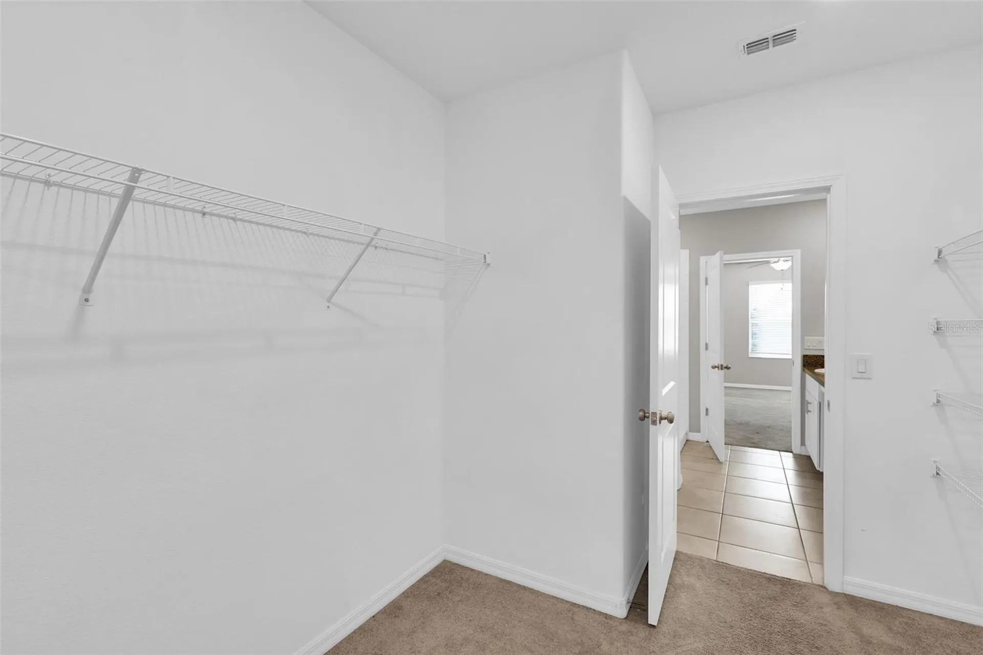 5204 White Chicory Drive Apollo Beach FL 33572