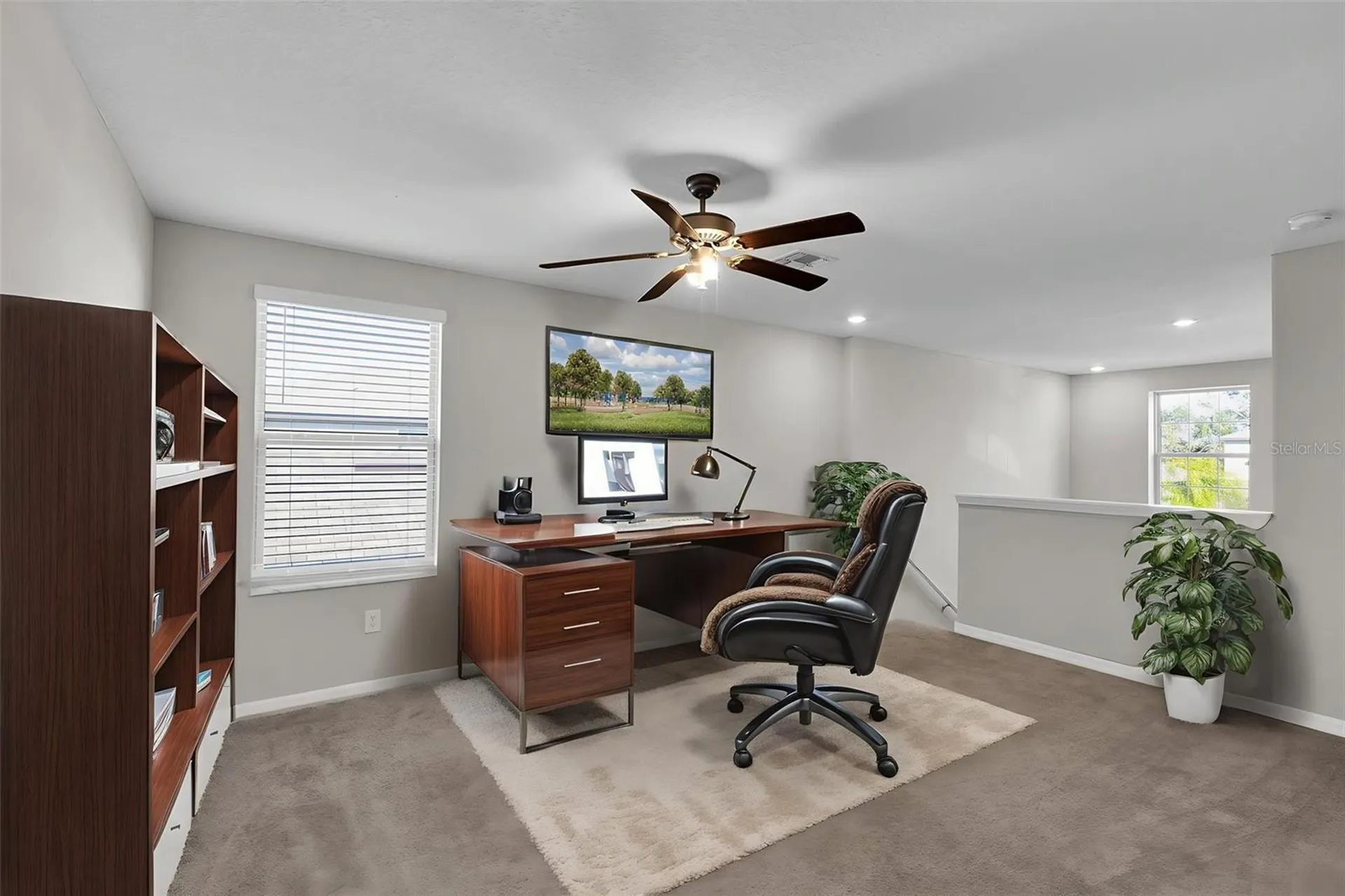 5204 White Chicory Drive Apollo Beach FL 33572