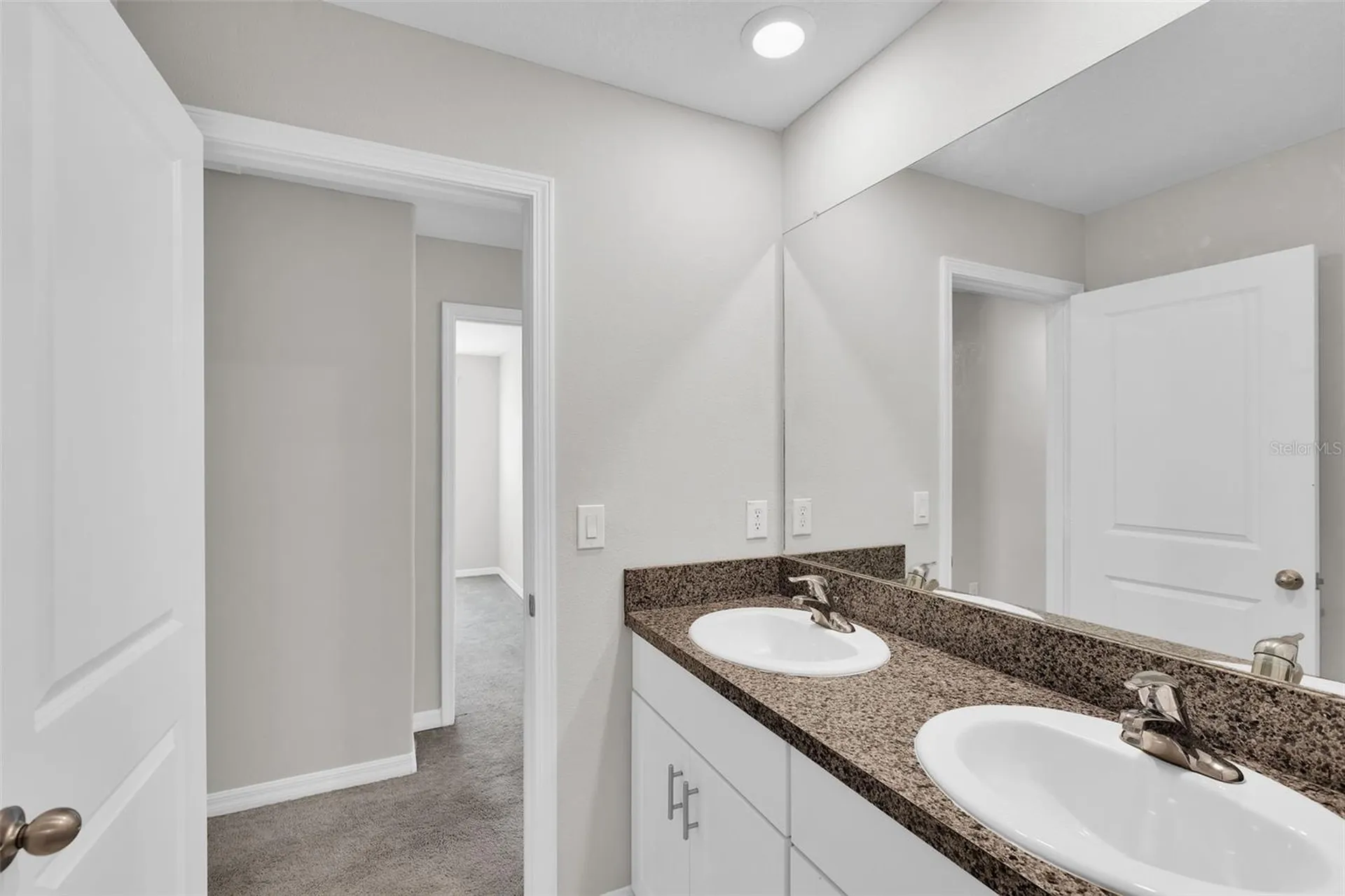 5204 White Chicory Drive Apollo Beach FL 33572