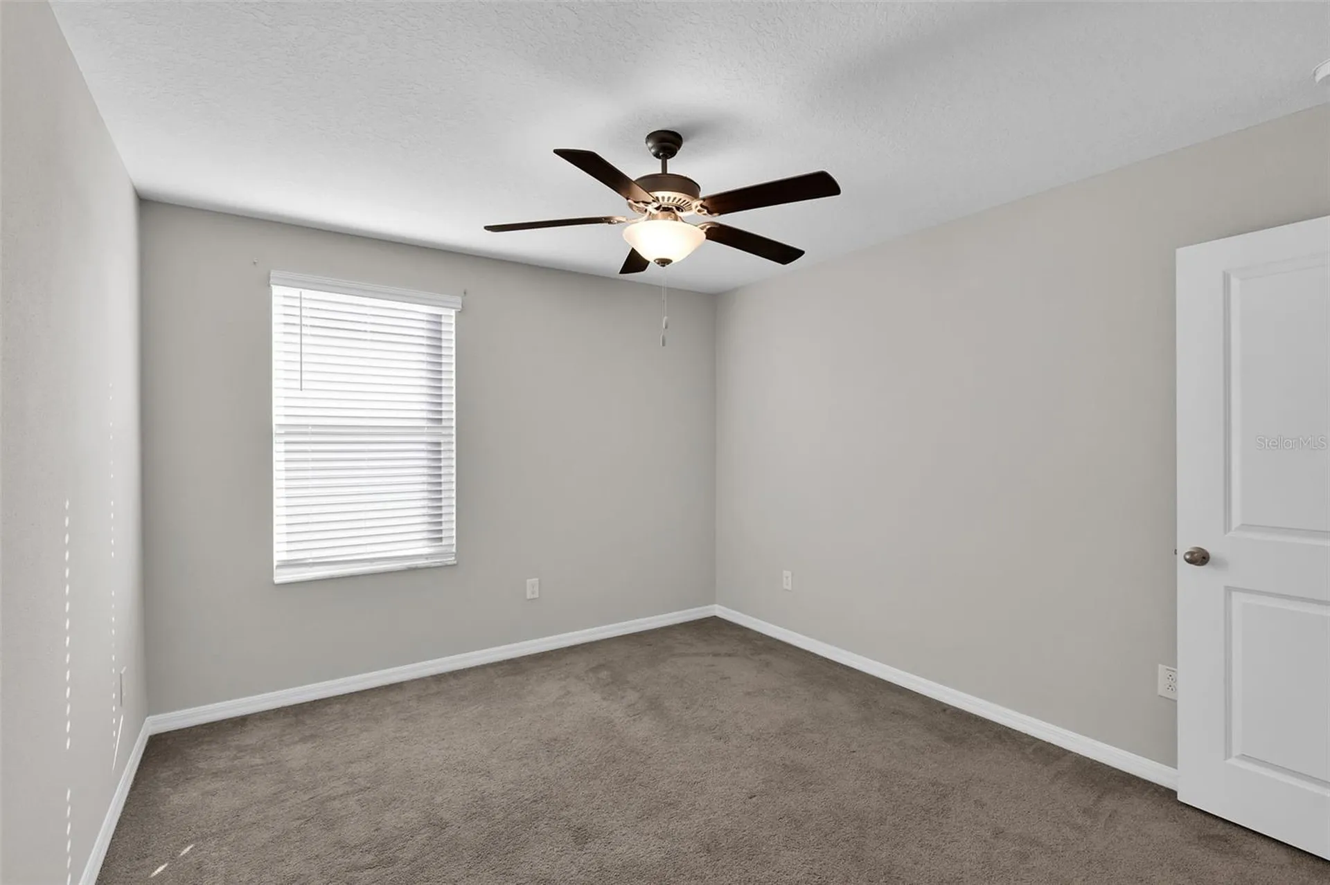 5204 White Chicory Drive Apollo Beach FL 33572