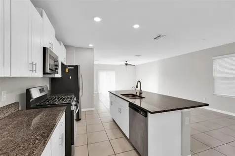 5204 White Chicory Drive Apollo Beach FL 33572