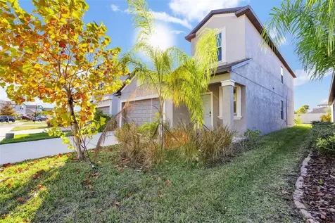 5204 White Chicory Drive Apollo Beach FL 33572