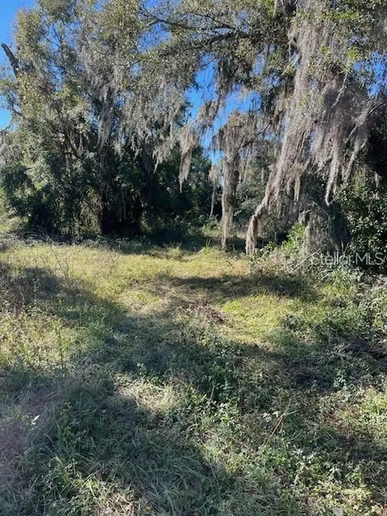702 S Marion Avenue Lake City FL 32055
