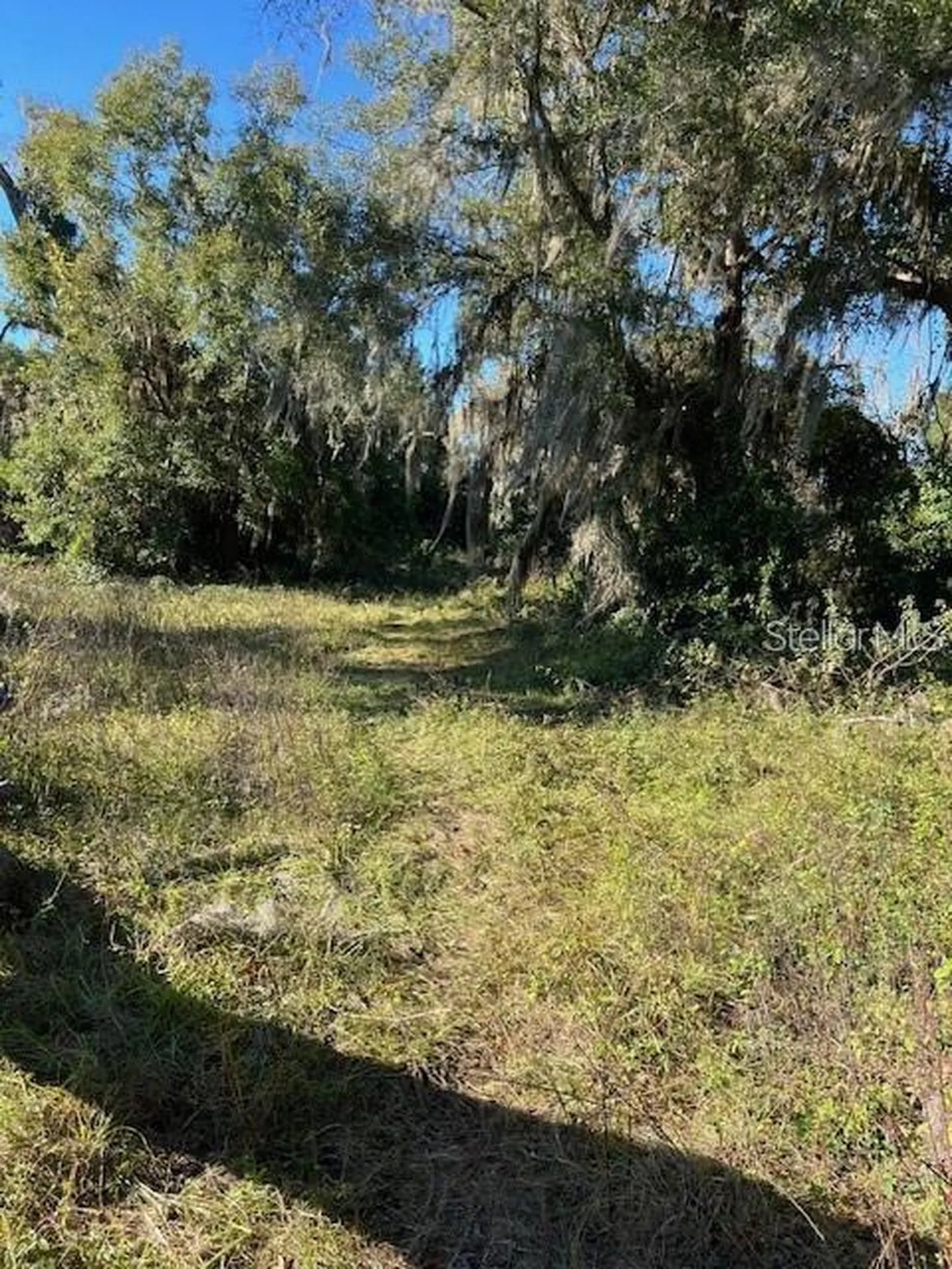 702 S Marion Avenue Lake City FL 32055