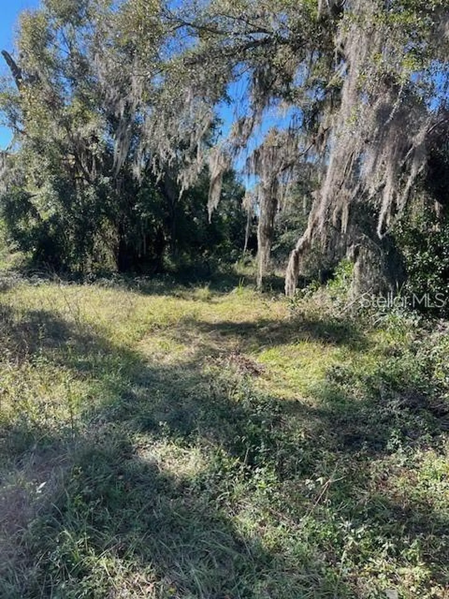 702 S Marion Avenue Lake City FL 32055