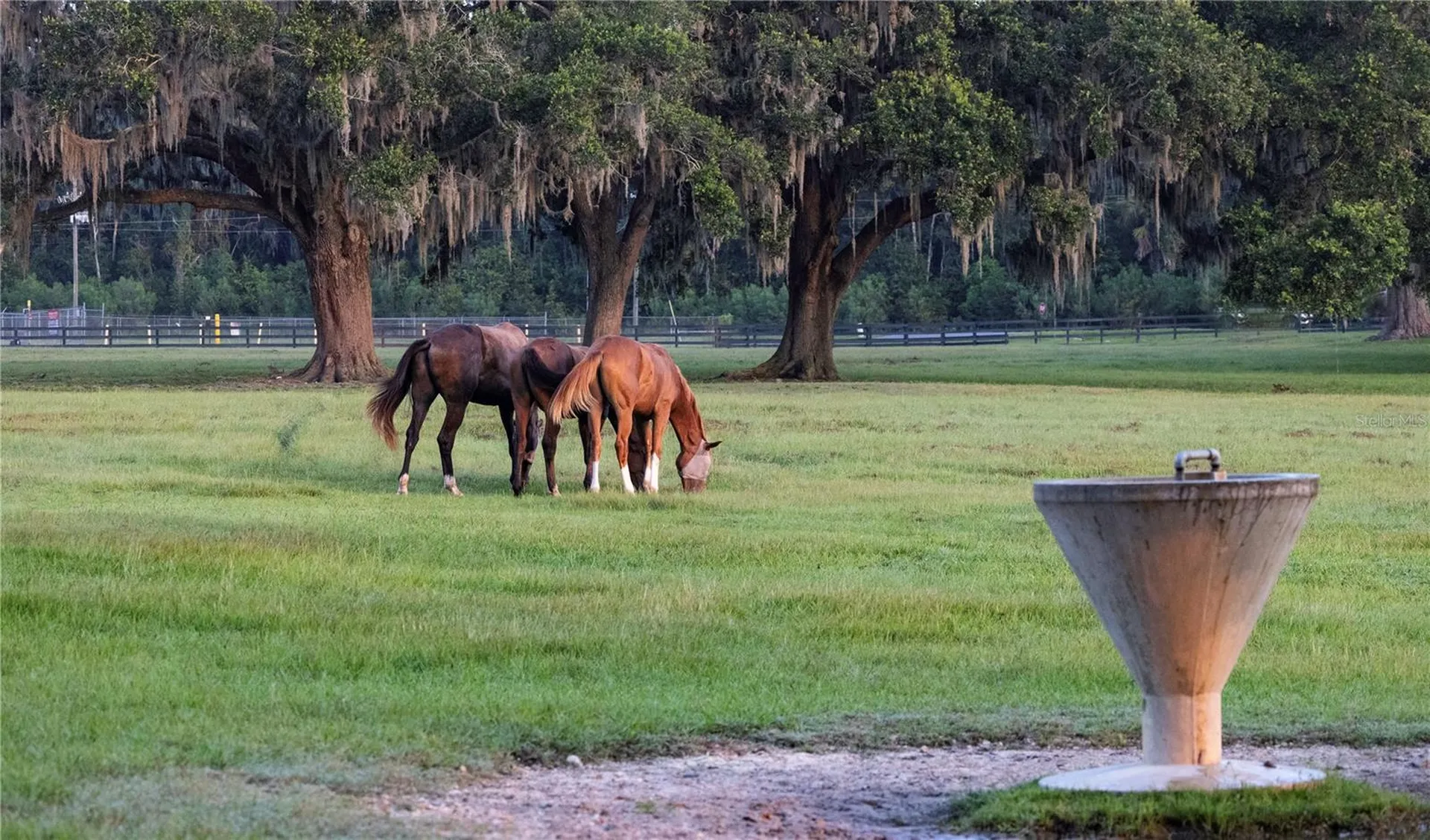 12750 W Highway 40 Ocala FL 34481